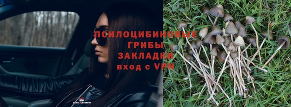 дживик Волосово