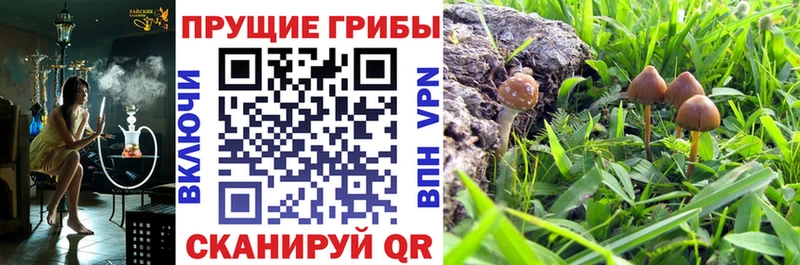 Галлюциногенные грибы Magic Shrooms  Инсар 